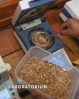 laboratorium