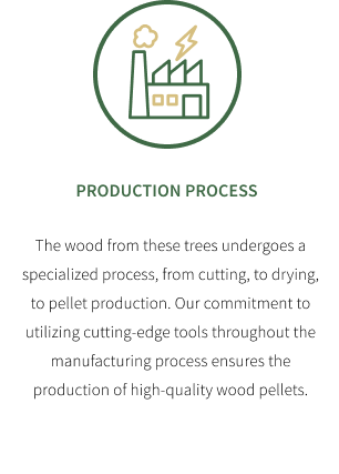 proses produksi