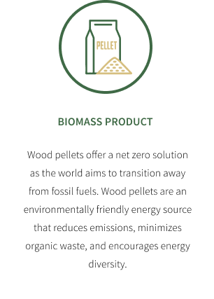 produk biomasa