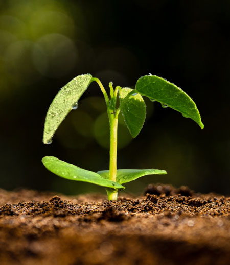 BJA Commitment to Sustainability – For the Environment