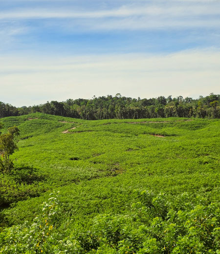 BJA Commitment to Sustainability – For the Environment